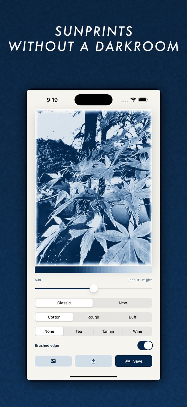 A maple in full autumn colour rendered as a cyanotype in the CYANO app.