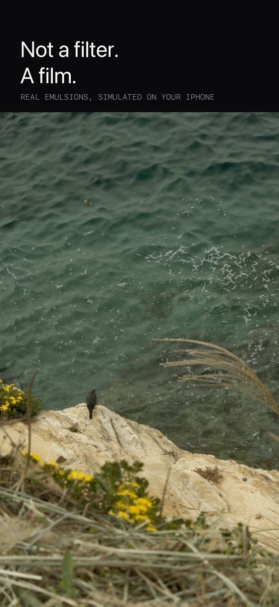 Una fotografía revelada de un pájaro sobre una roca por encima de agua turquesa.